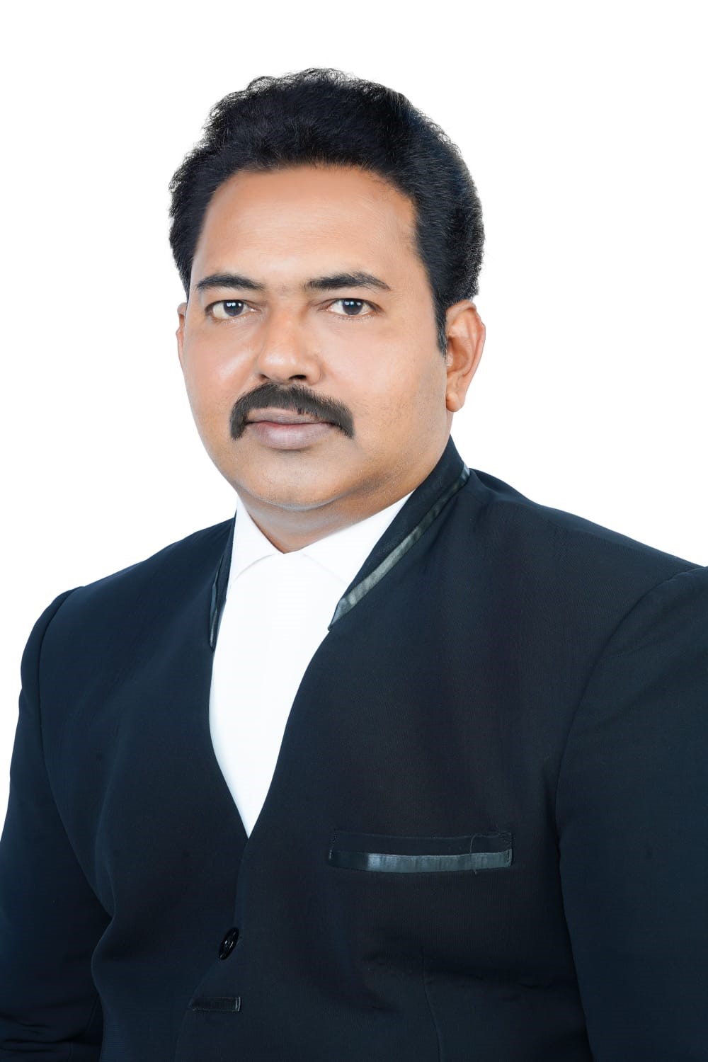 Vice President